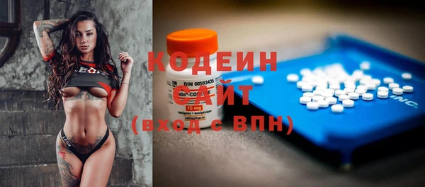 МДПВ Карпинск