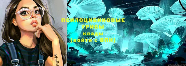 mix Билибино