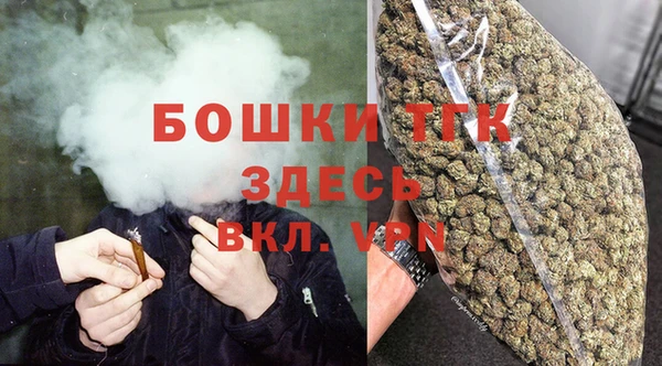 mix Билибино