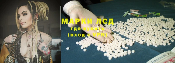 дживик Касимов