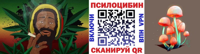 ОМГ ОМГ онион  Моршанск  Псилоцибиновые грибы мухоморы  где найти наркотики 